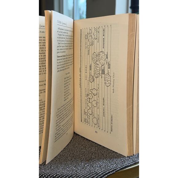 Vintage 1948 America’s Garden Book – Scribner’s Sons Illustrated Gardening Guide - Picture 3 of 11